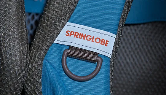 Enhanced Basic Springlobe: Premium Quality for Optimized Performance - English Version